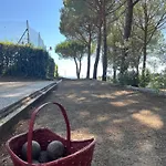 La Attico Panoramico Aparthotel 4*